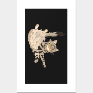 Maine Coon Cat Posters and Art